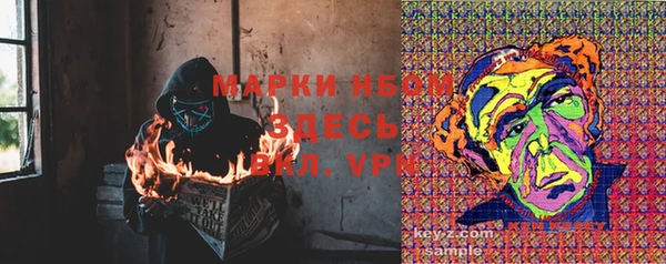 ПСИЛОЦИБИНОВЫЕ ГРИБЫ Алзамай