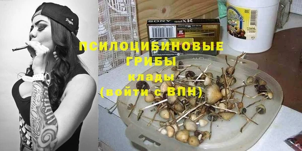 шишки Алексеевка