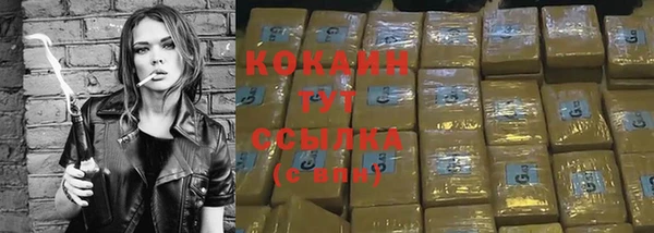 PSILOCYBIN Вяземский