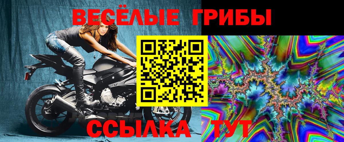 Псилоцибиновые грибы Psilocybine cubensis Люберцы