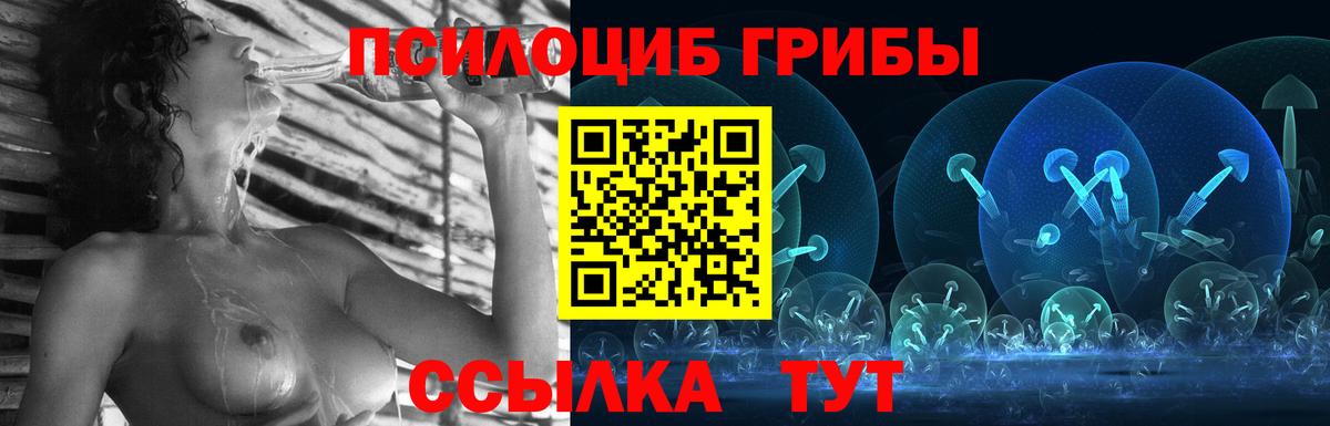Псилоцибиновые грибы Psilocybe  купить наркотики сайты  Люберцы  Вход с VPN  Псилоцибиновые грибы MAGIC MUSHROOMS 